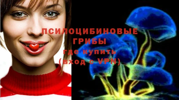 прущие грибы Михайловка