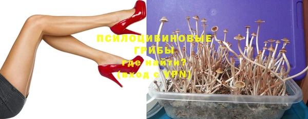 прущие грибы Михайловка