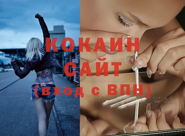прущие грибы Михайловка
