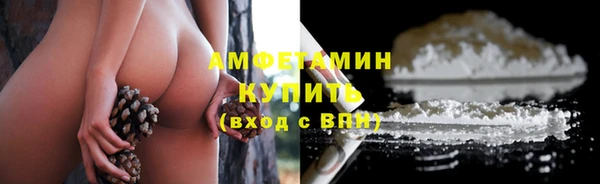 прущие грибы Михайловка