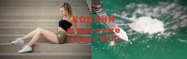 прущие грибы Михайловка