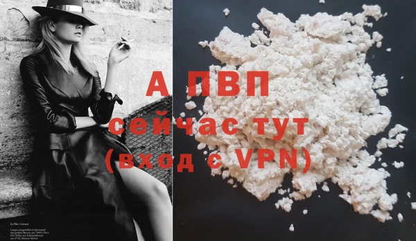 гашик Каменка