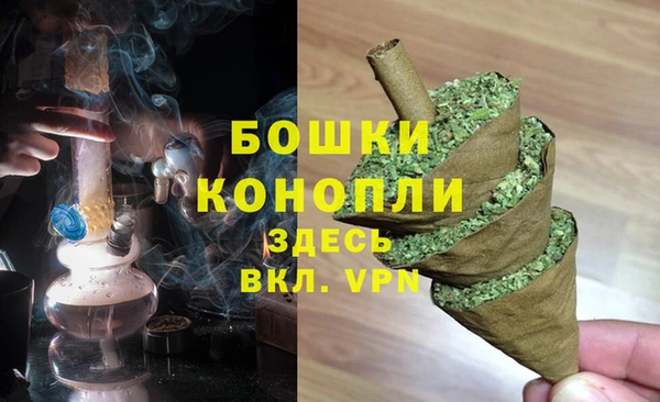 прущие грибы Михайловка
