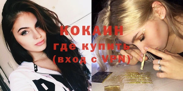 мяу мяу мука Михайлов