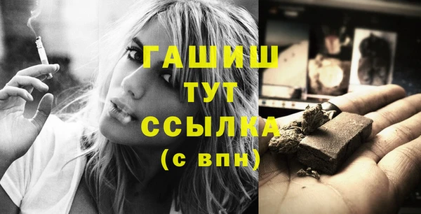 стаф Каменногорск