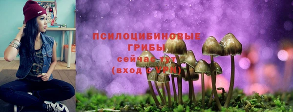 героин Покачи