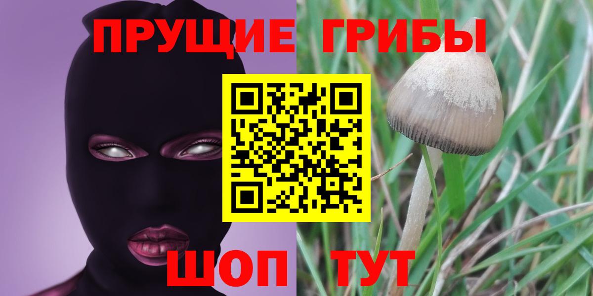 Галлюциногенные грибы мухоморы Добрянка