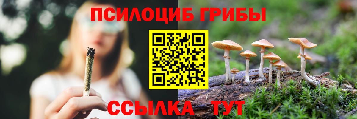 Галлюциногенные грибы MAGIC MUSHROOMS  Вход с VPN  Добрянка 