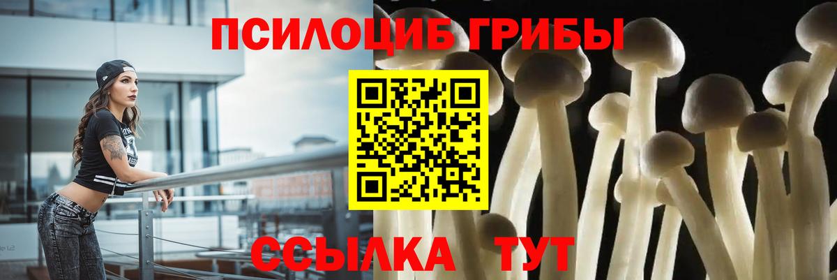 Галлюциногенные грибы ЛСД  Добрянка  Галлюциногенные грибы Cubensis 