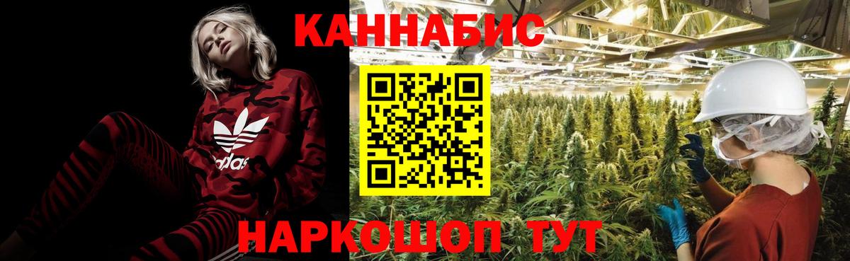 Бошки марихуана сатива  Добрянка  Каннабис White Widow  МАРИХУАНА ГИДРОПОН  Конопля конопля 